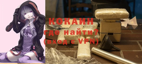 крисы Каменка