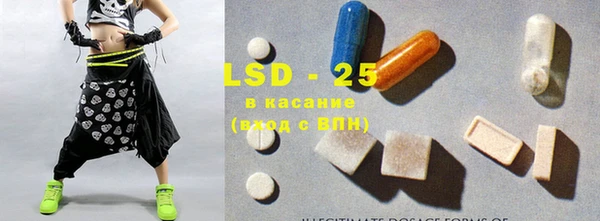 крисы Каменка