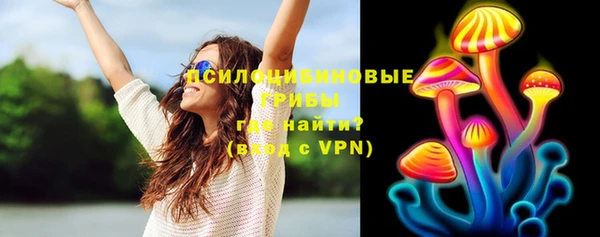 крисы Каменка