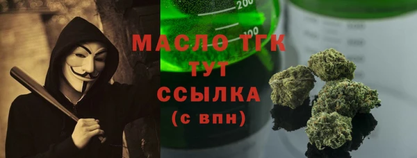 крисы Каменка