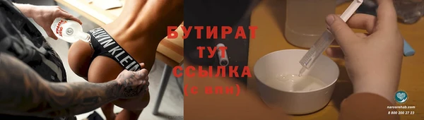 крисы Каменка