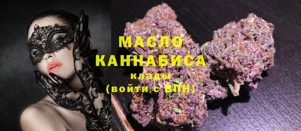 крисы Каменка