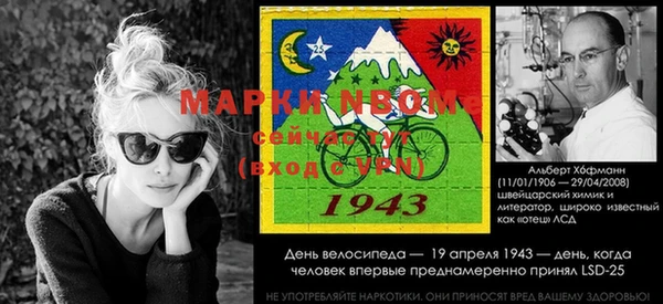 крисы Каменка