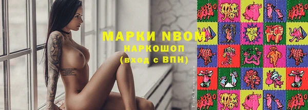 крисы Каменка