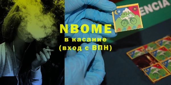 крисы Каменка