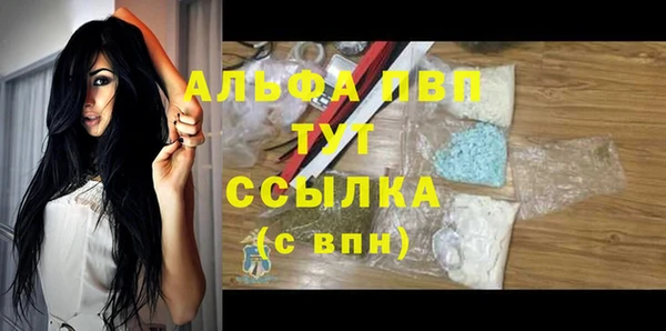 крисы Каменка