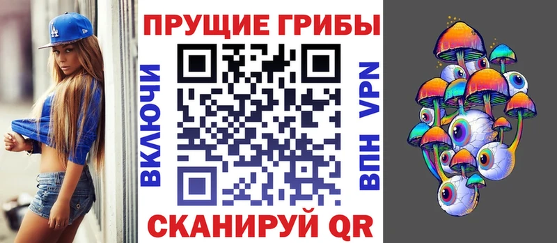 Псилоцибиновые грибы мицелий  Купить где  Городовиковск 