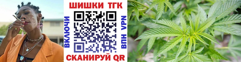 Каннабис индика  Купить где  Городовиковск 